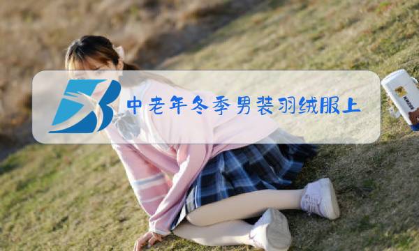 中老年冬季男装羽绒服上衣图片
