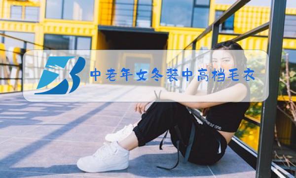 中老年女冬装中高档毛衣两件套图片