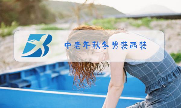 中老年秋冬男装西装图片