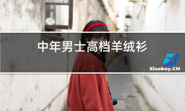 中年男士高档羊绒衫图片