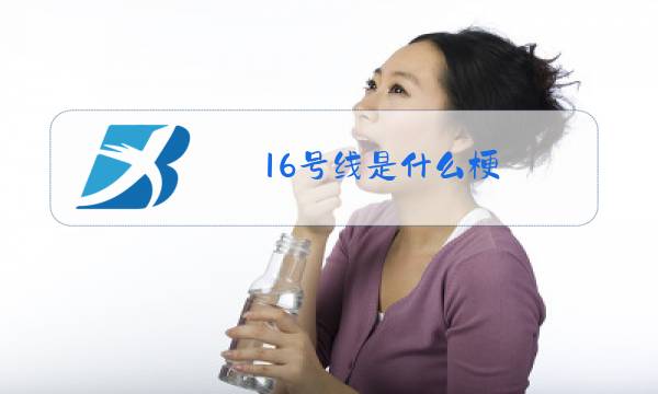 16号线是什么梗图片