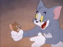 Tom和Jerry什么梗配图