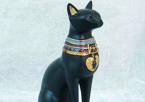 埃及猫女王跳舞是什么梗配图
