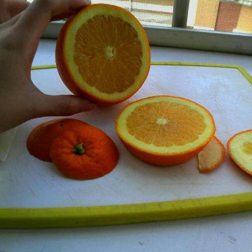 剥个橙子什么梗配图