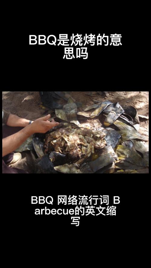 bbq烧烤是什么意思梗配图