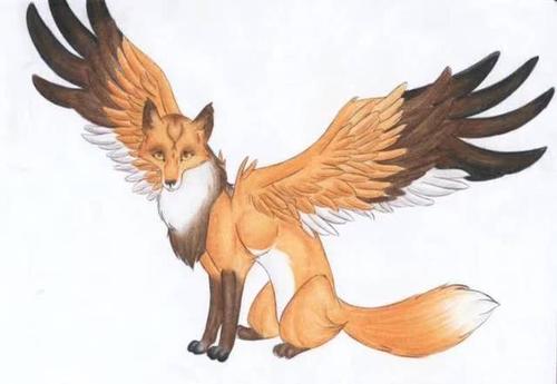 变成翅膀臭狐狸是什么梗配图