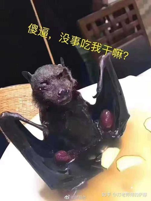 小牛向前冲蝙蝠魔的经典台词?