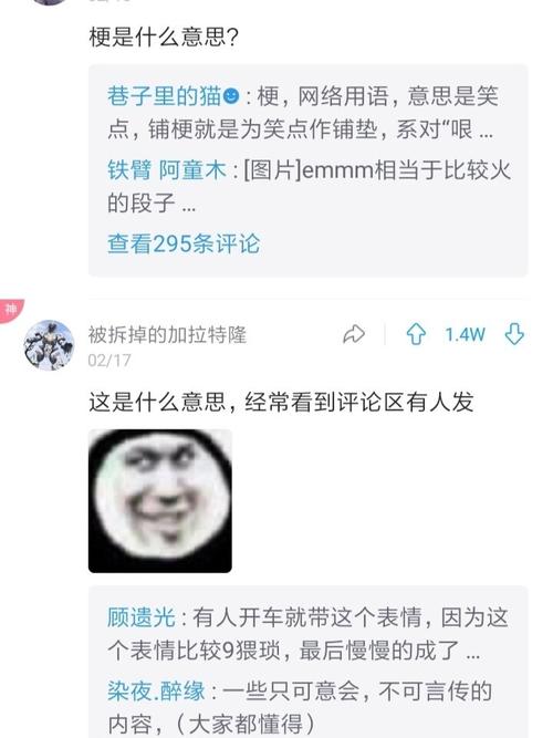 别人问2g网是什么梗配图