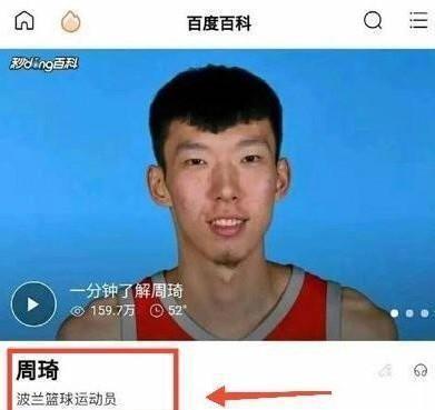波兰球王周琦什么梗配图