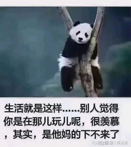 不卖就不会亏是什么梗配图