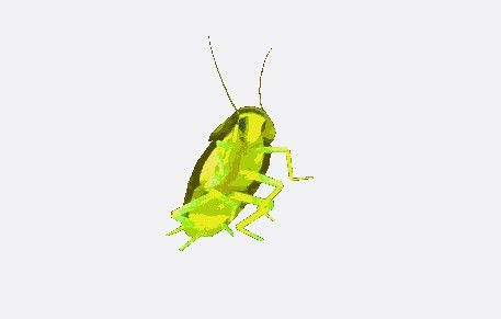 彩色蟑螂是什么梗配图