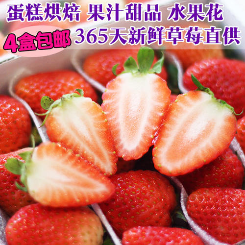 草莓图片猜水果是什么梗配图