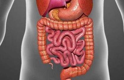 肠梗阻的大便是什么意思配图