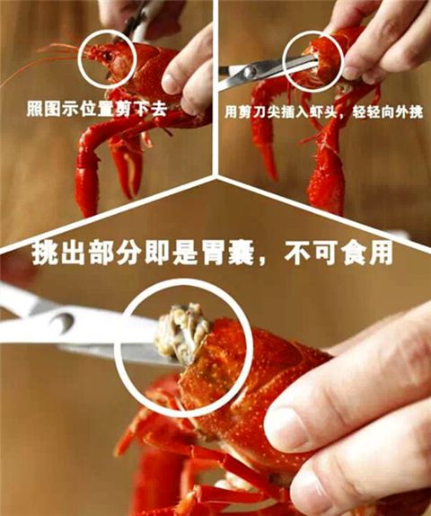吃不吃小龙虾是什么梗配图