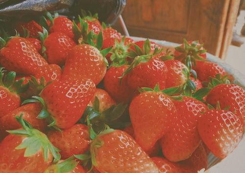 吃不起草莓是什么梗配图