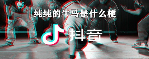 纯纯纯纯纯什么梗配图