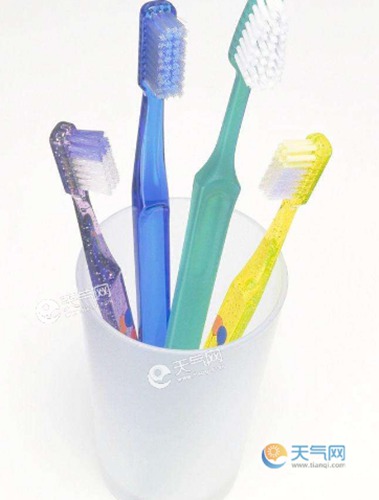 纯纯牙刷是什么梗配图