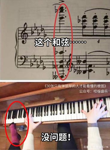 弹钢琴什么梗配图