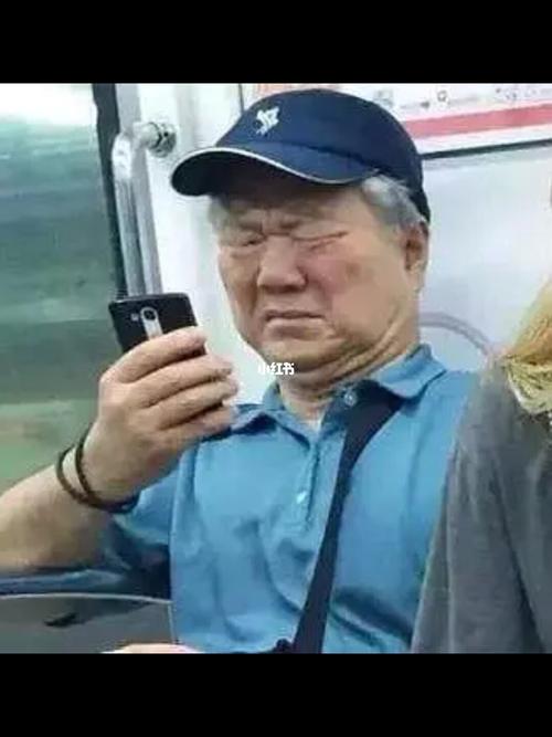 地铁老爷爷看手机是什么梗配图