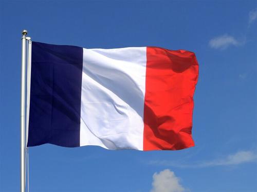法国国旗白色什么梗配图