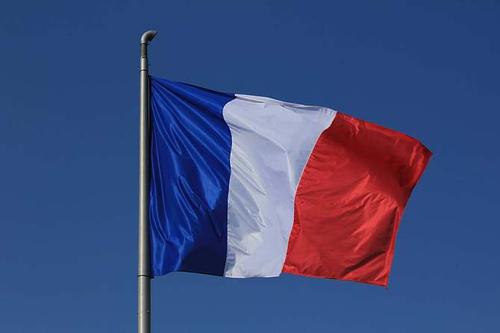 法国国旗剪开什么梗配图