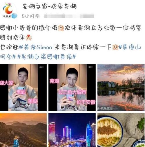 龚俊和芜湖什么梗配图