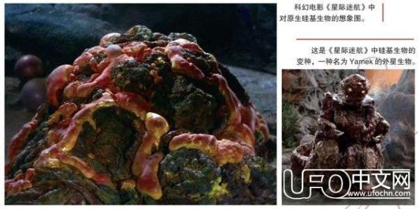 硅基生物的话是什么梗配图
