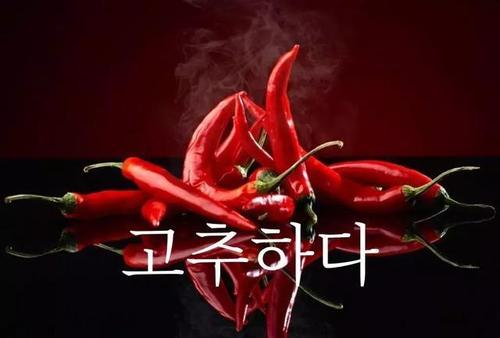 韩语辣椒是什么梗配图