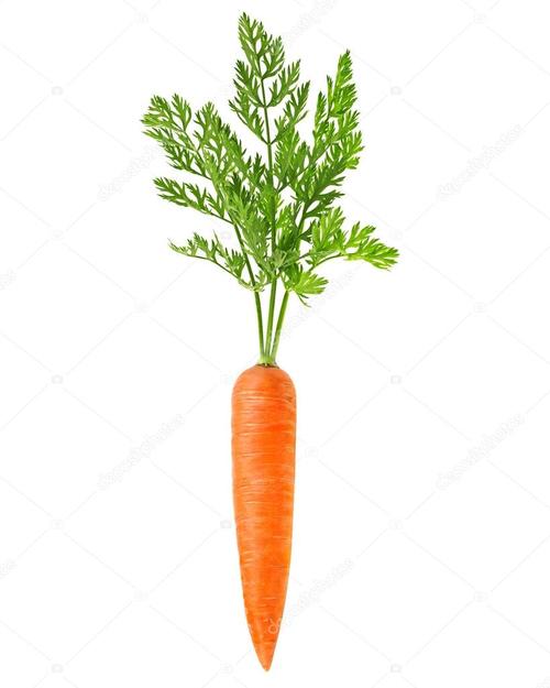 胡萝卜是什么梗配图