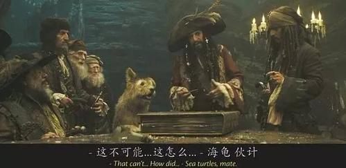 加勒比海盗海龟是什么梗配图