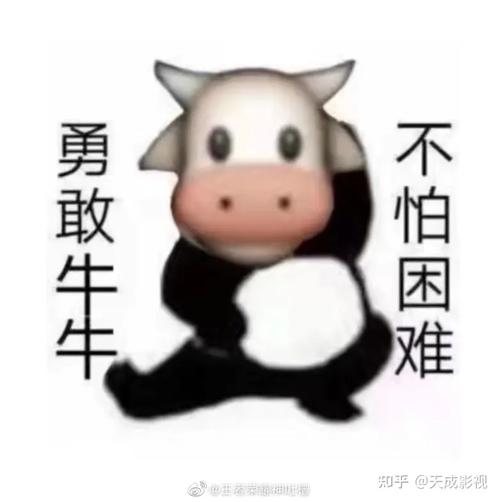 加油牛牛是什么梗配图