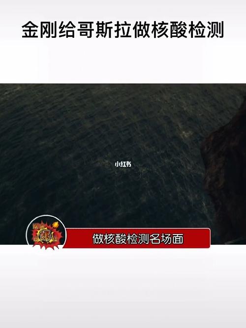 金刚核酸检测什么梗配图