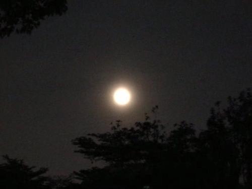今晚的月亮真圆哪什么梗配图