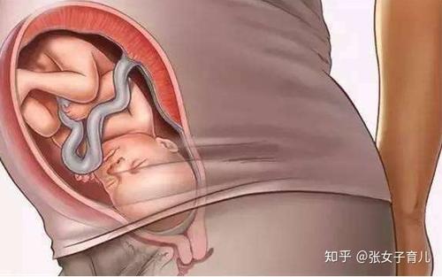 看一眼就怀孕是什么梗配图