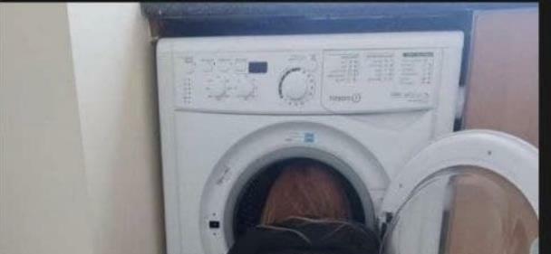 林清平钻进洗衣机是什么梗配图
