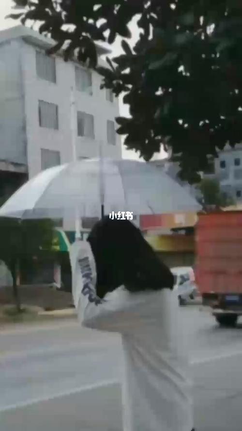 淋雨爱你是什么梗配图