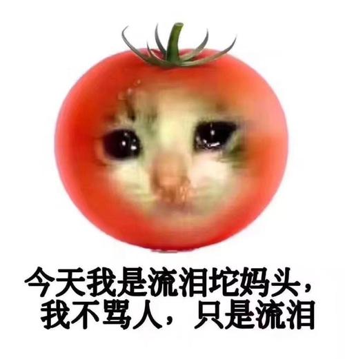 流泪tomato是什么梗配图