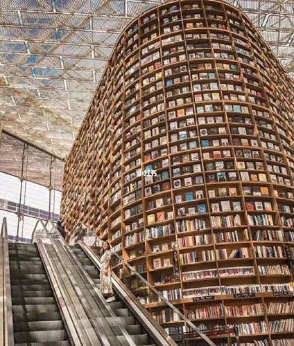 里约图书馆是什么梗配图