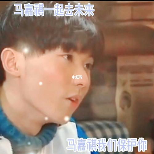 马嘉祺一起去未来什么梗配图