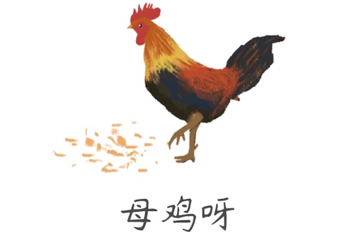母鸡哎什么梗配图