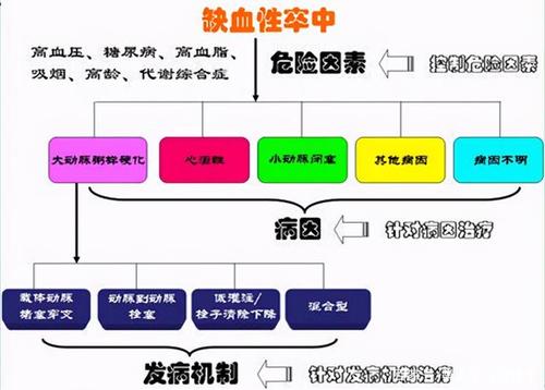 脑梗算什么类别疾病配图