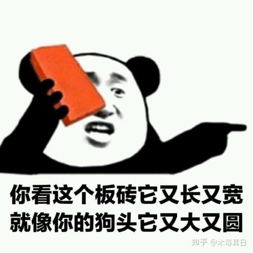 你看这个碗又大又圆是什么梗配图