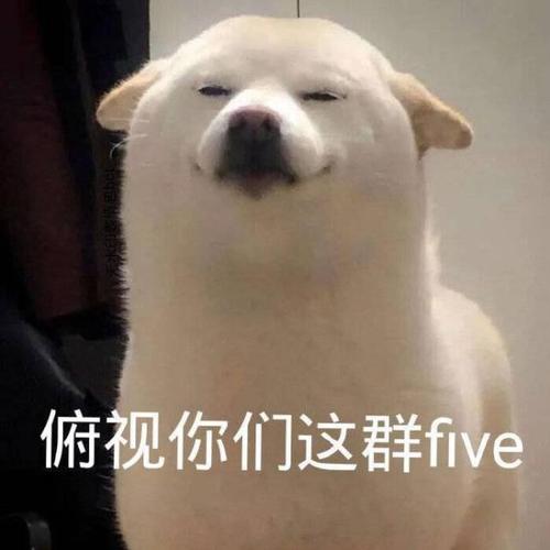 你可真是five是什么梗配图