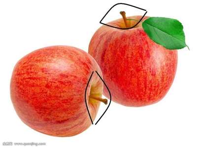 苹果梗是什么意思配图