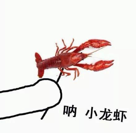 请吃小龙虾是什么梗配图
