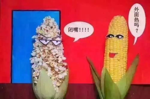 请你吃玉米是什么梗配图
