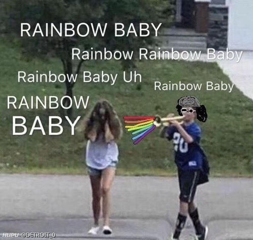 rainbowbaby什么梗配图
