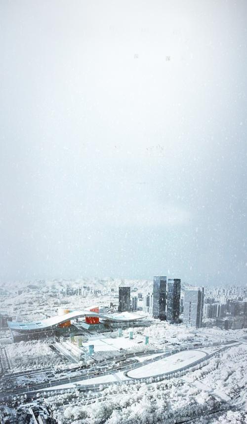 深圳下雪了是什么梗配图