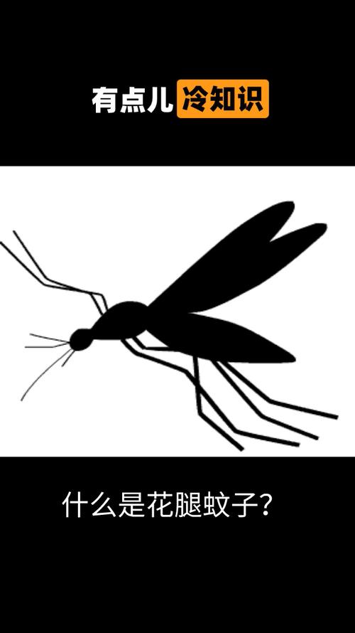收蚊子腿是什么梗配图