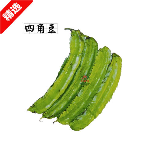 四角豆是什么梗配图